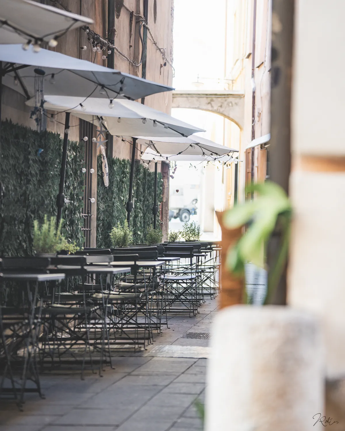 Summer Vibe — DSC00019