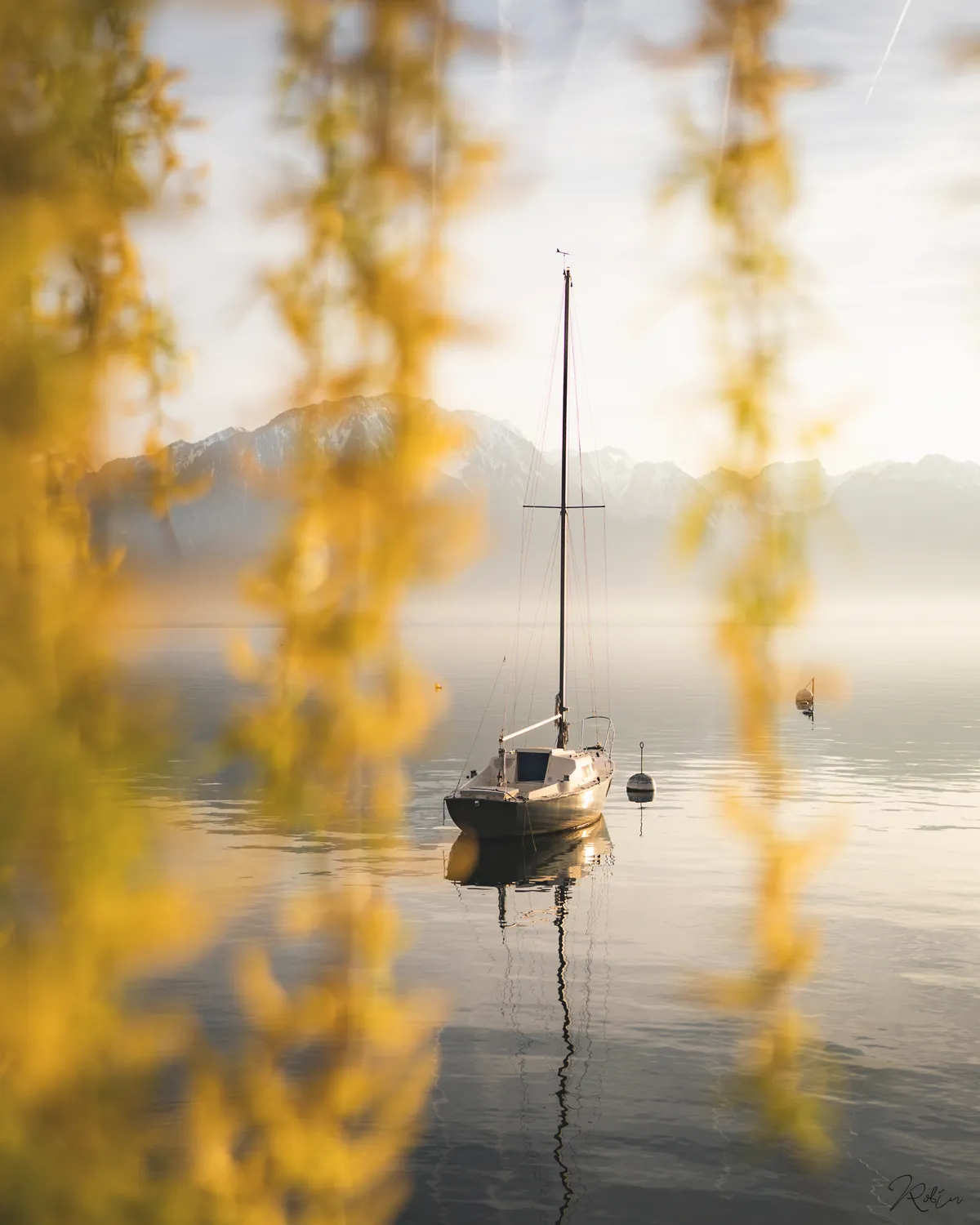 Summer Vibe — DSC01725