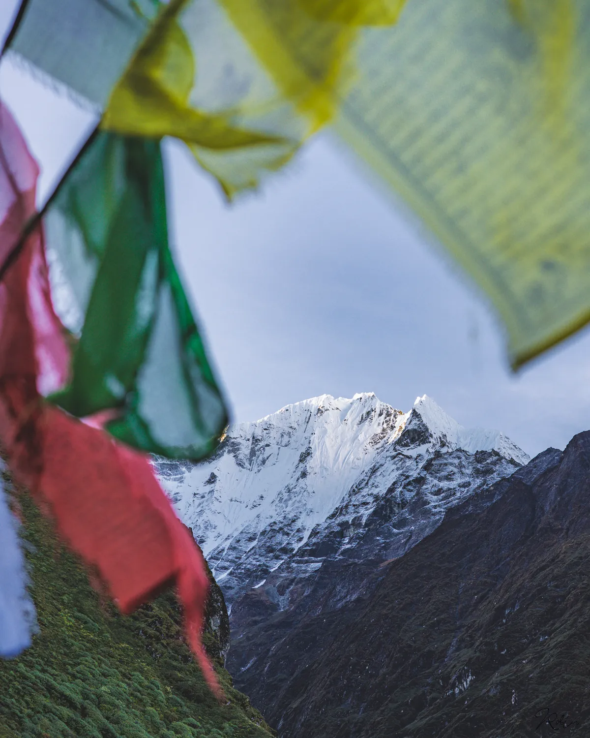 Nepal — DSC08112